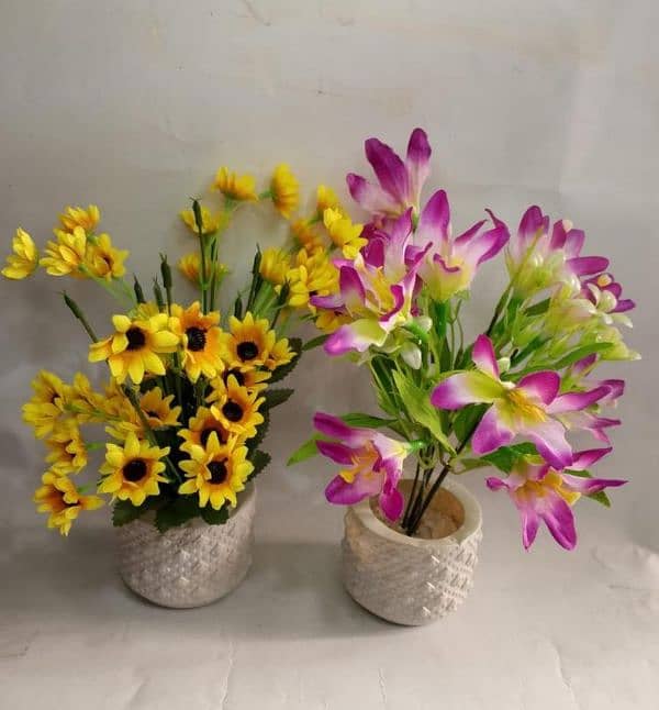 Flowers Pot Pack of 2 & 3 0