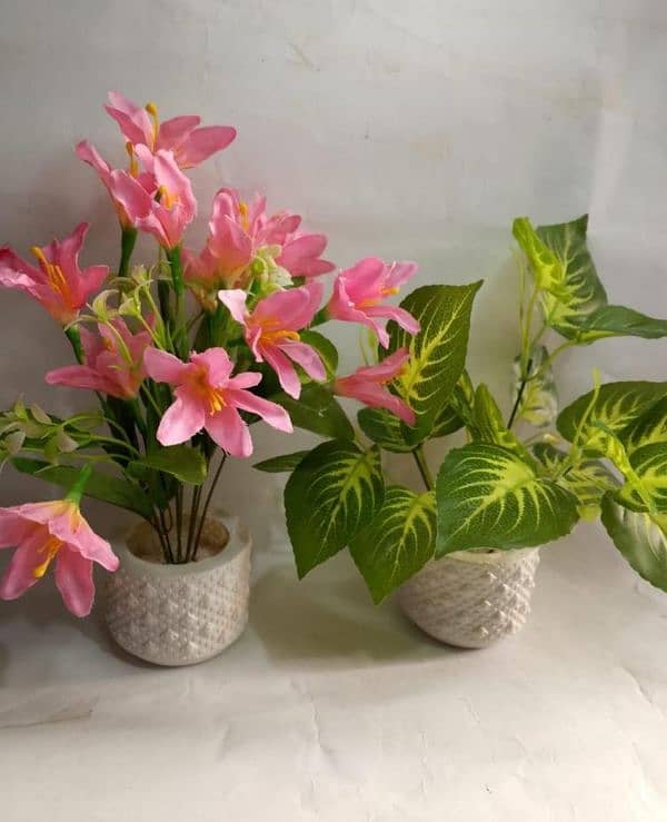 Flowers Pot Pack of 2 & 3 5