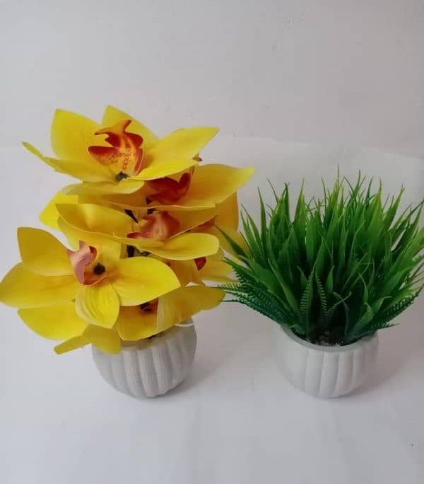 Flowers Pot Pack of 2 & 3 6