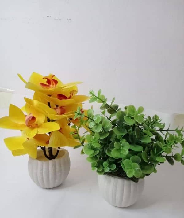 Flowers Pot Pack of 2 & 3 7