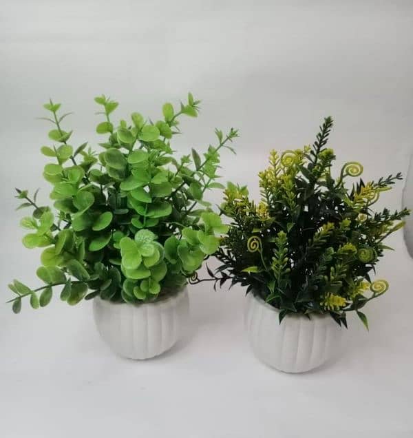 Flowers Pot Pack of 2 & 3 8