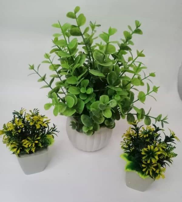 Flowers Pot Pack of 2 & 3 9