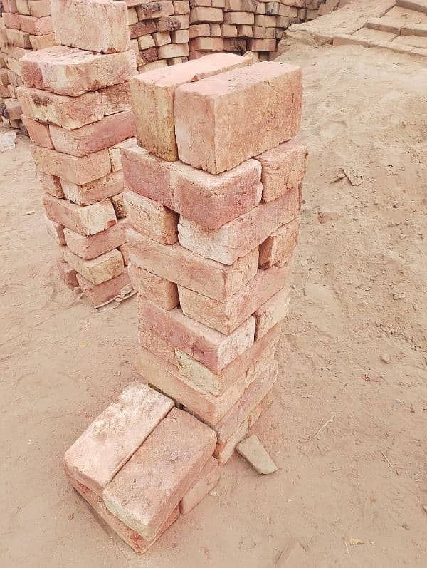 25 Special Bricks 8