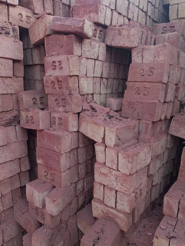 25 Special Bricks 9