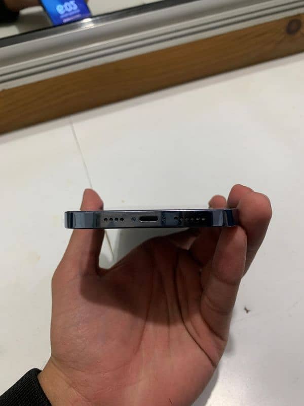 13 PRO MAX 256GB Back Crack 4