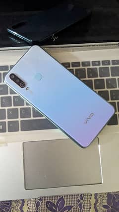 Vivo