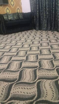 new carpet for sale