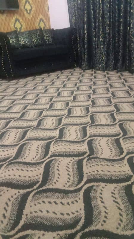 new carpet for sale 0