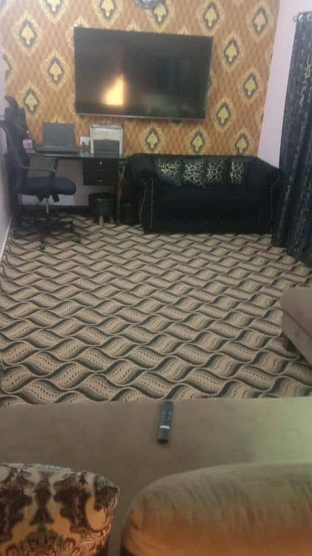 new carpet for sale 3