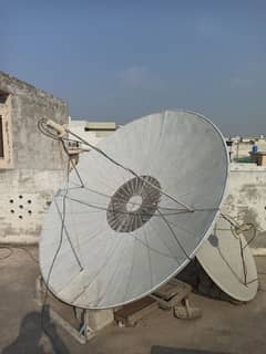 Dish