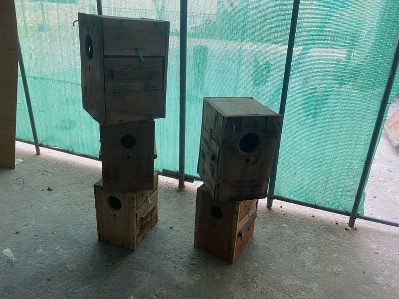 Lovebird Used boxes 0