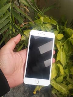 iphone 7 plus PTA Approved 128GB