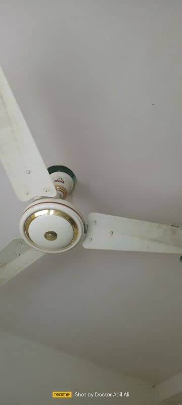 iNDUS 1 Year Used FaN 10/10 Condition 2