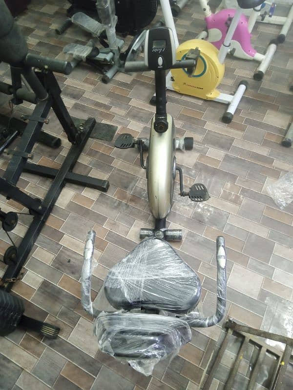 Exercise ( Magnetic recumbent bike) 2