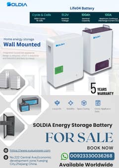 SOLDIA Lithium Ion Battery 51.2V 100AH