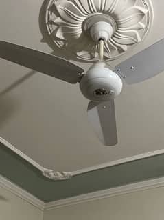 4 Celing fans for sale only 1 yr used almost new