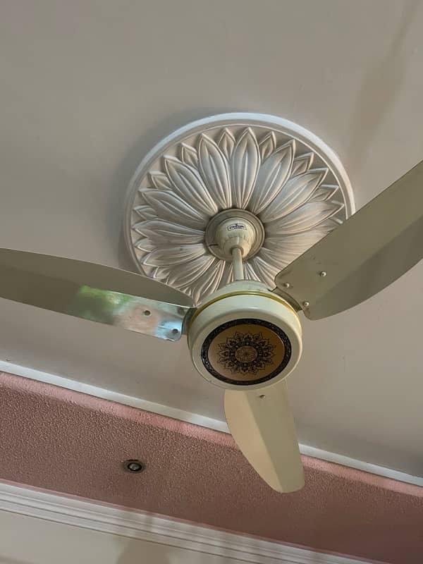 4 Celing fans for sale only 1 yr used almost new 1