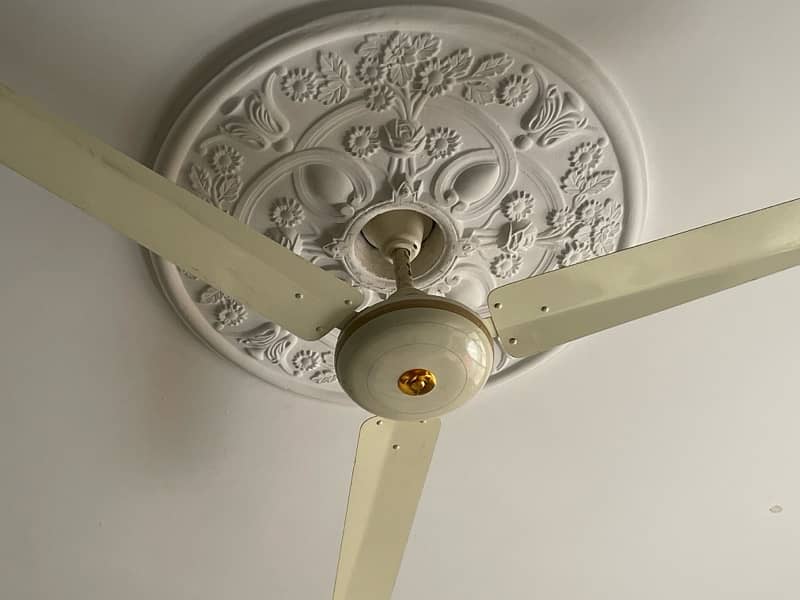 4 Celing fans for sale only 1 yr used almost new 2