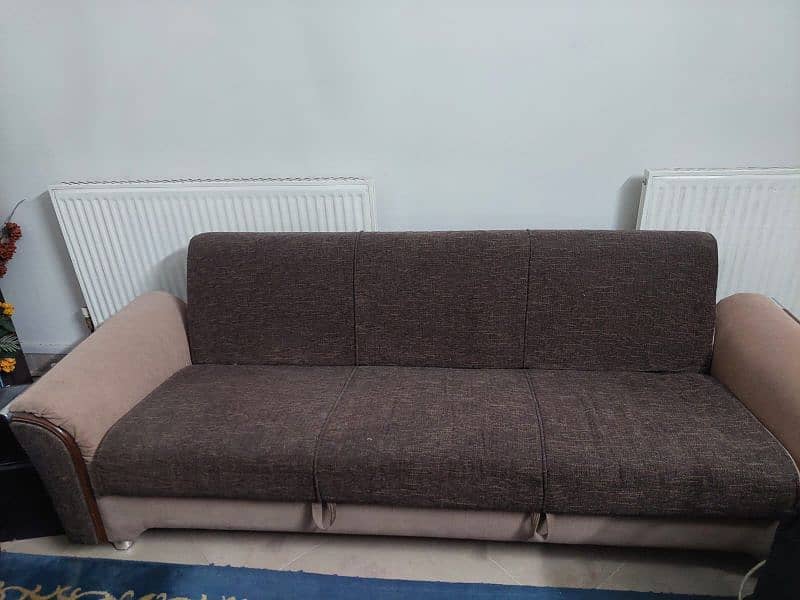 3 Seater Sofa Cum Bed 1