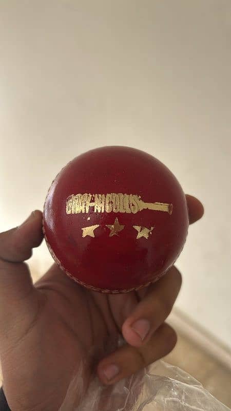 cricket hardballs 2