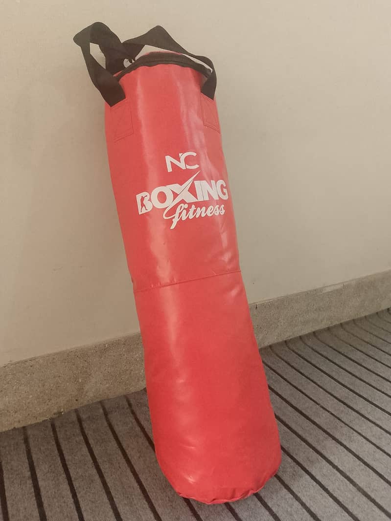 Complete Boxing Kit: Punching Bag and Gloves, Speed Ball, Resist Band 0