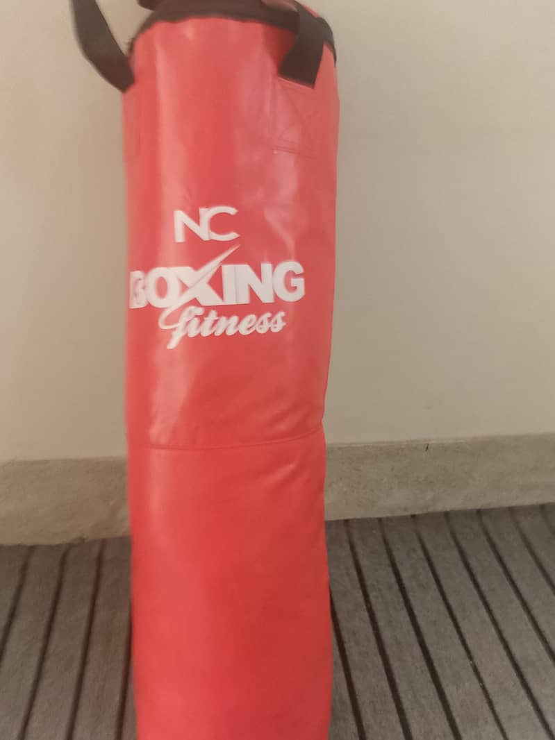 Complete Boxing Kit: Punching Bag and Gloves, Speed Ball, Resist Band 4