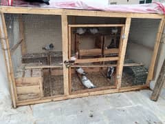 WOOD CAGE AND PEGION FOR SALE SIZE 6/3 CONTACT 03174951126/03204702045