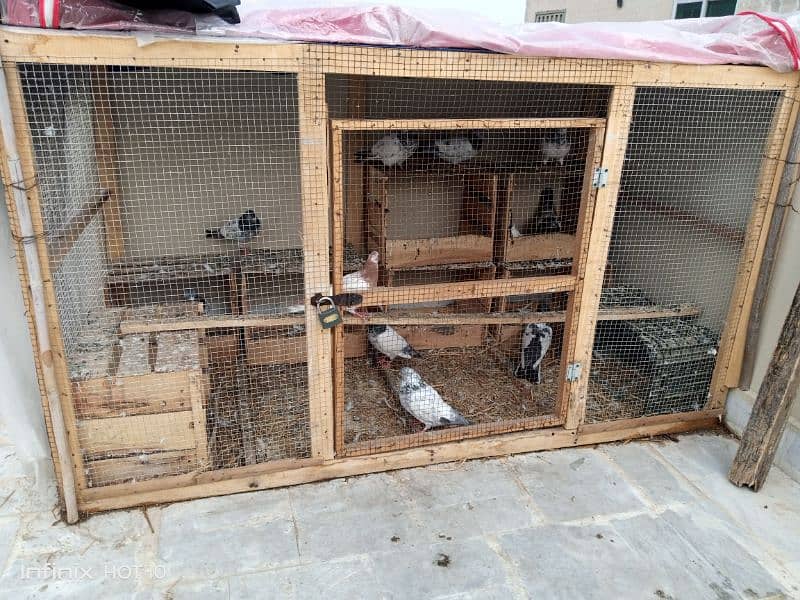 WOOD CAGE AND PEGION FOR SALE SIZE 6/3 CONTACT 03174951126/03204702045 0