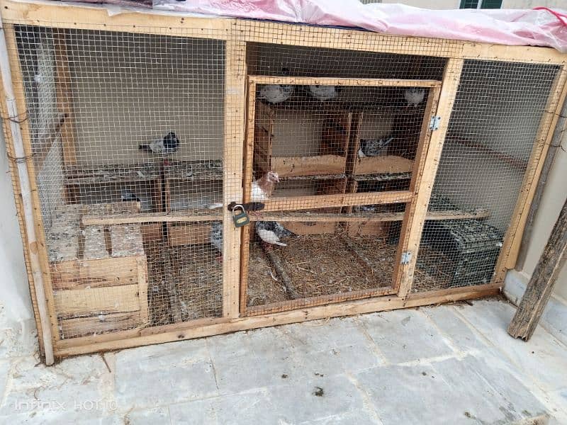 WOOD CAGE AND PEGION FOR SALE SIZE 6/3 CONTACT 03174951126/03204702045 1