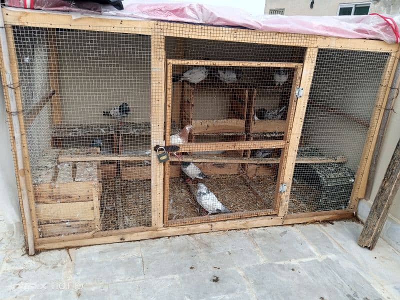 WOOD CAGE AND PEGION FOR SALE SIZE 6/3 CONTACT 03174951126/03204702045 2