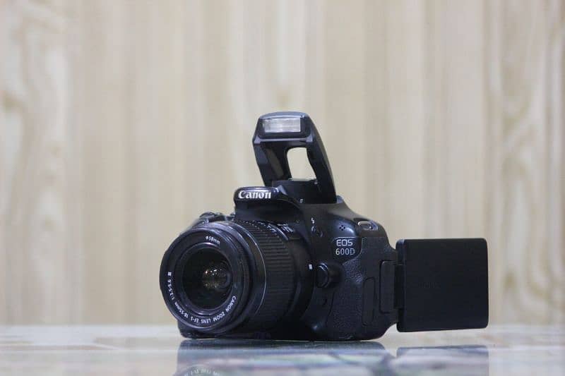 600d canon with kit lens 1