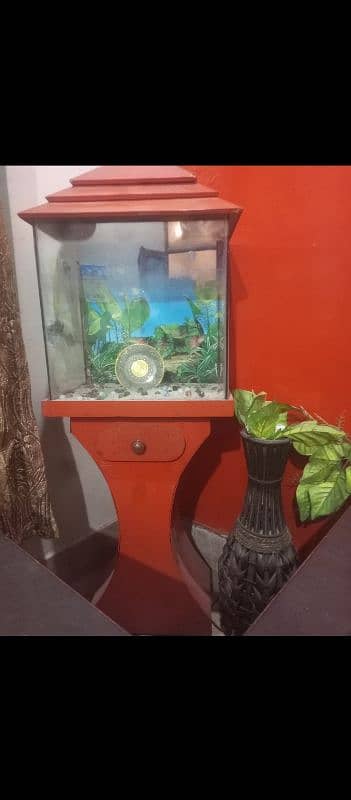 fish Aquarium 3