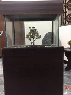 medium beautiful aquarium with all accessories