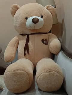 Teddy