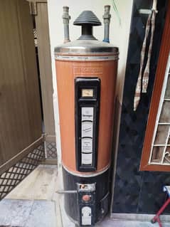 Tecnogas 35-Gallon Geyser Efficient Water Heating Solution