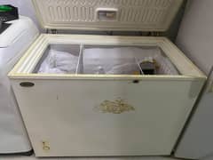 Waves Deep Freezer for Sale