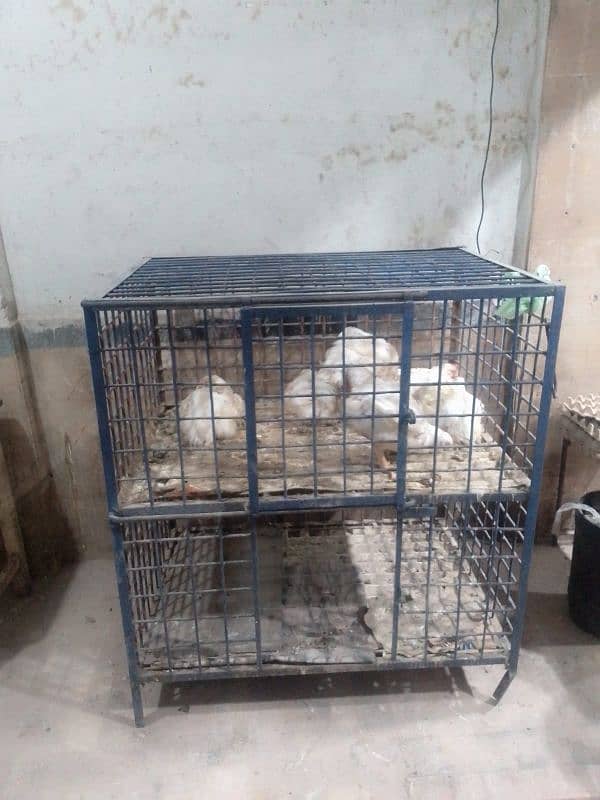 Chicken cage Rs 14000  03110240719   ,03462132112 0