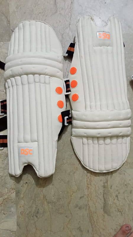 Cricket Kit Used 6