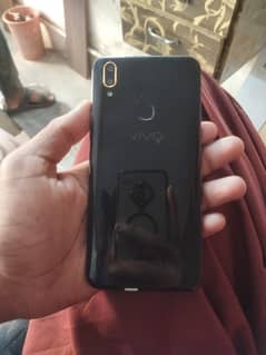 vivo