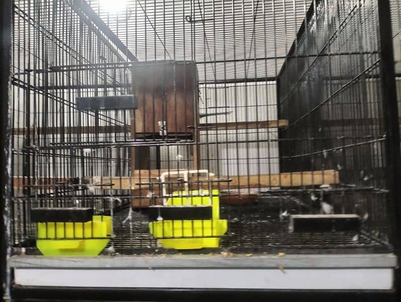 cage for sale 1