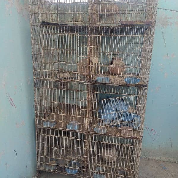 birds cage 2