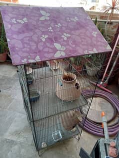 Cage for birds