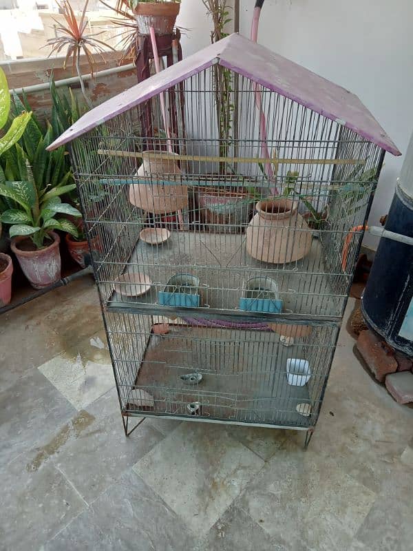 Cage for birds 2