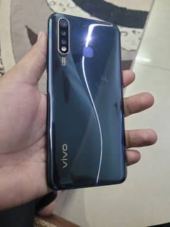 Vivo