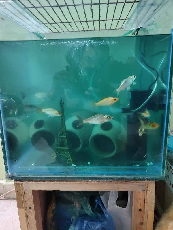 aquarium for sell 0