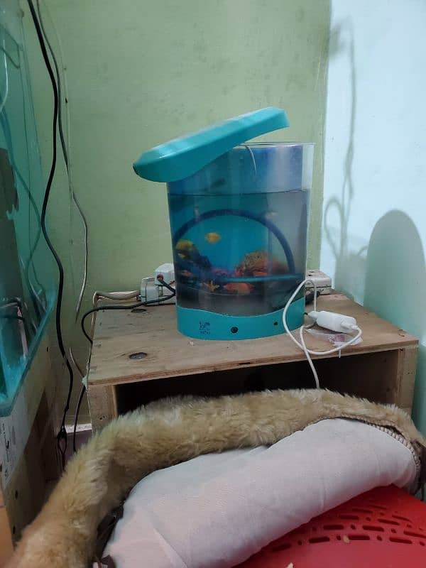 aquarium for sell 2