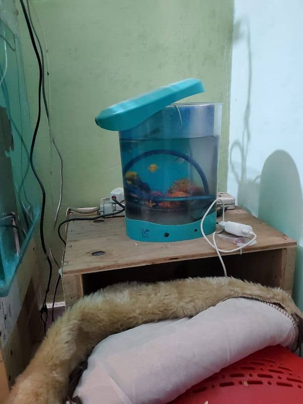 aquarium for sell 5