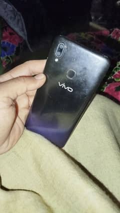 Vivo