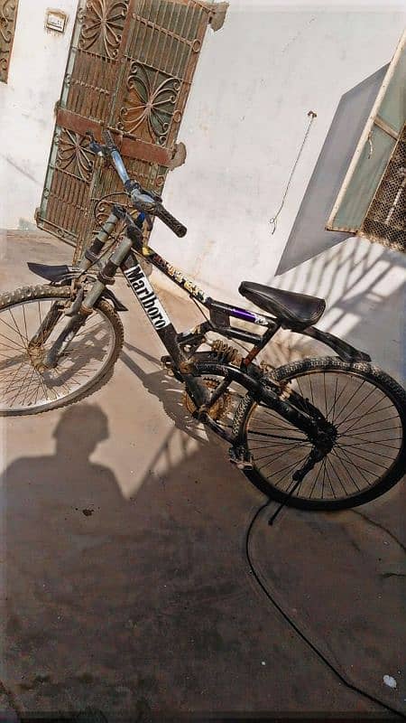 Cycle for Sale 1