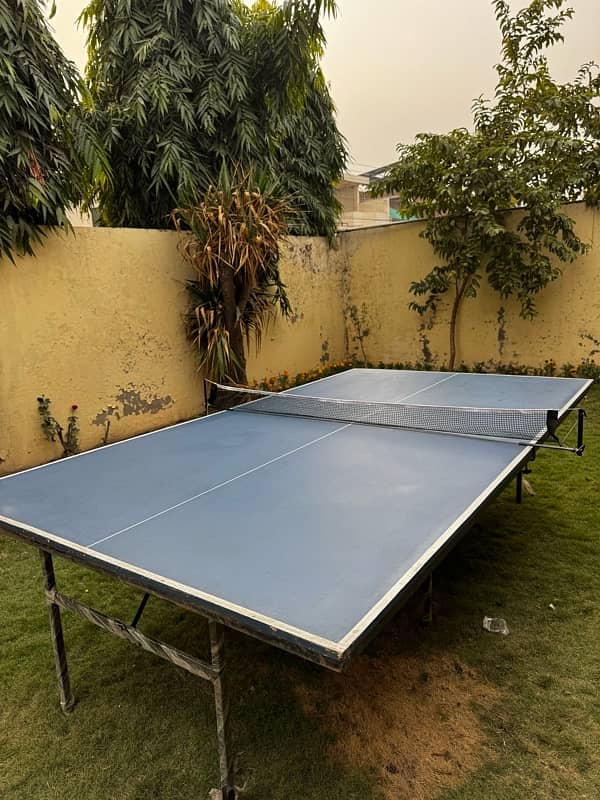 Table Tennis / Home use Table Tennis / With Net 1